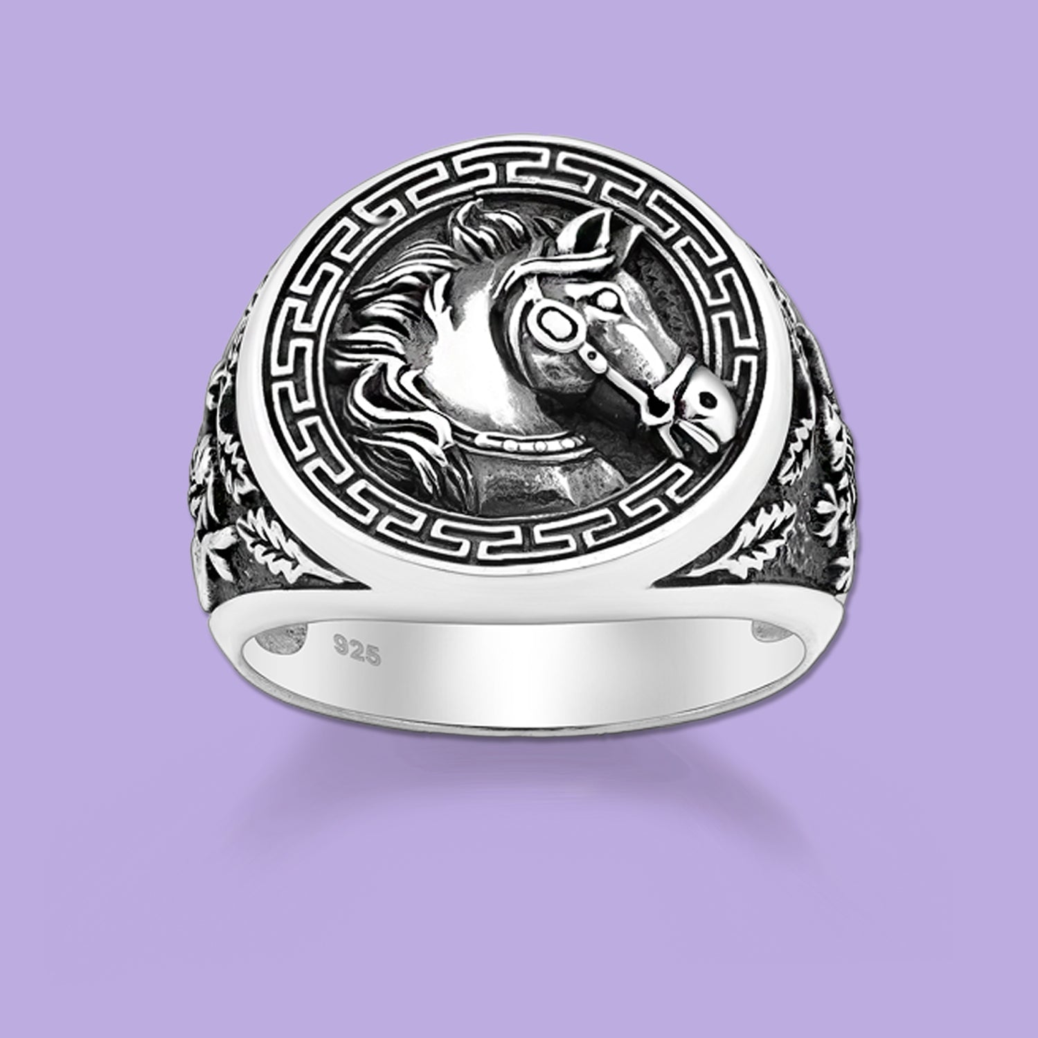 Silver Ring, Horse Ring